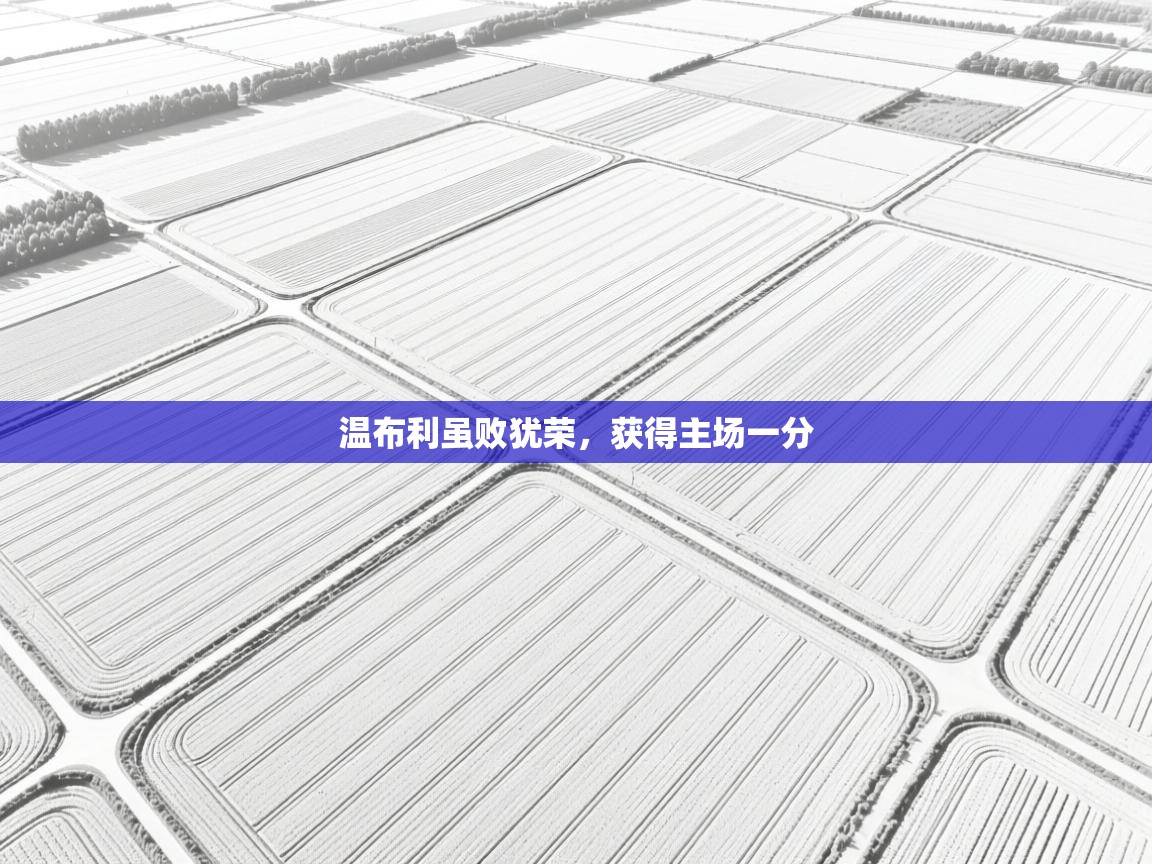 温布利虽败犹荣，获得主场一分