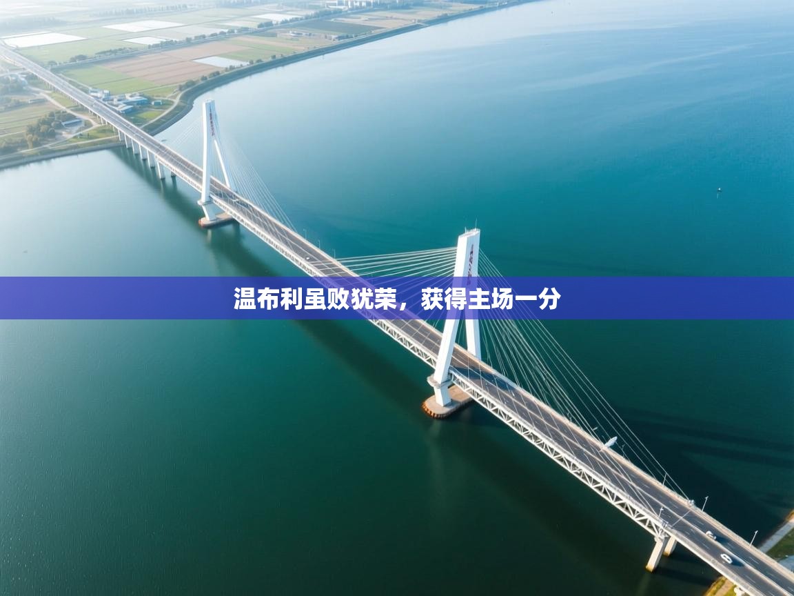 温布利虽败犹荣,获得主场一分 第2张