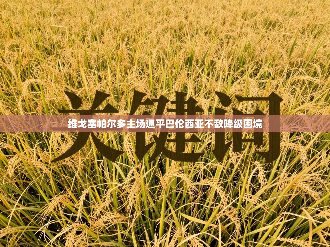 维戈塞帕尔多主场逼平巴伦西亚不敌降级困境 第2张